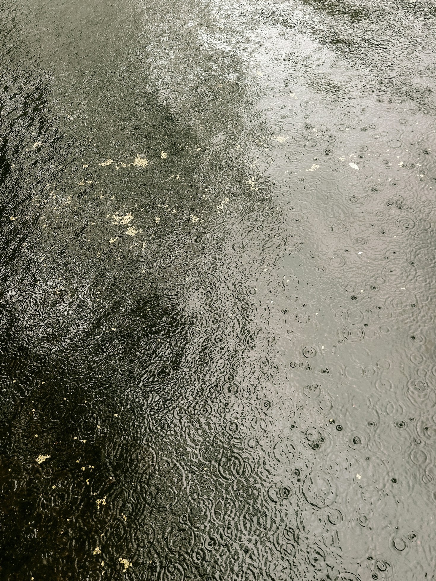 The Benefits of Sharing Road Conditions