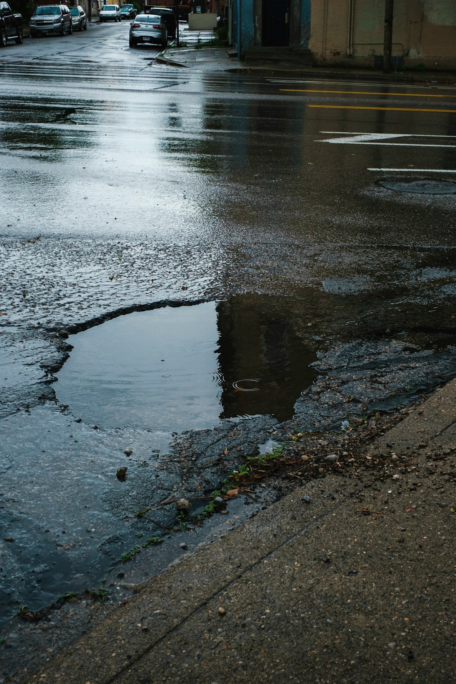 The Impact of Collective Action on Road Safety